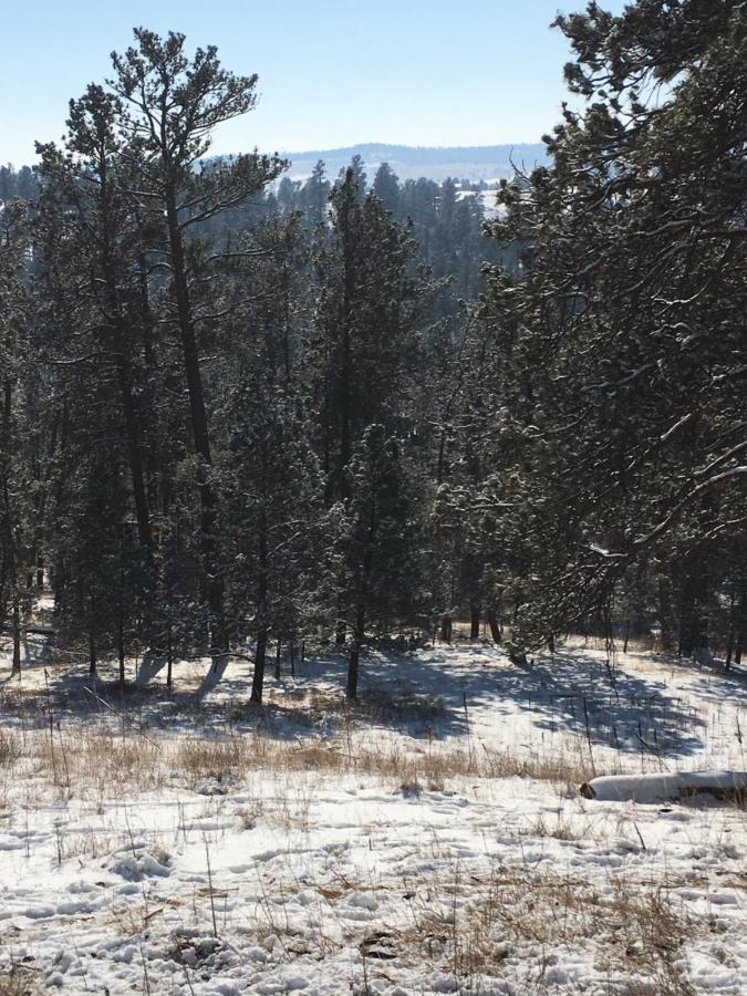 Priceless Black Hills View Rapid City Exterior foto