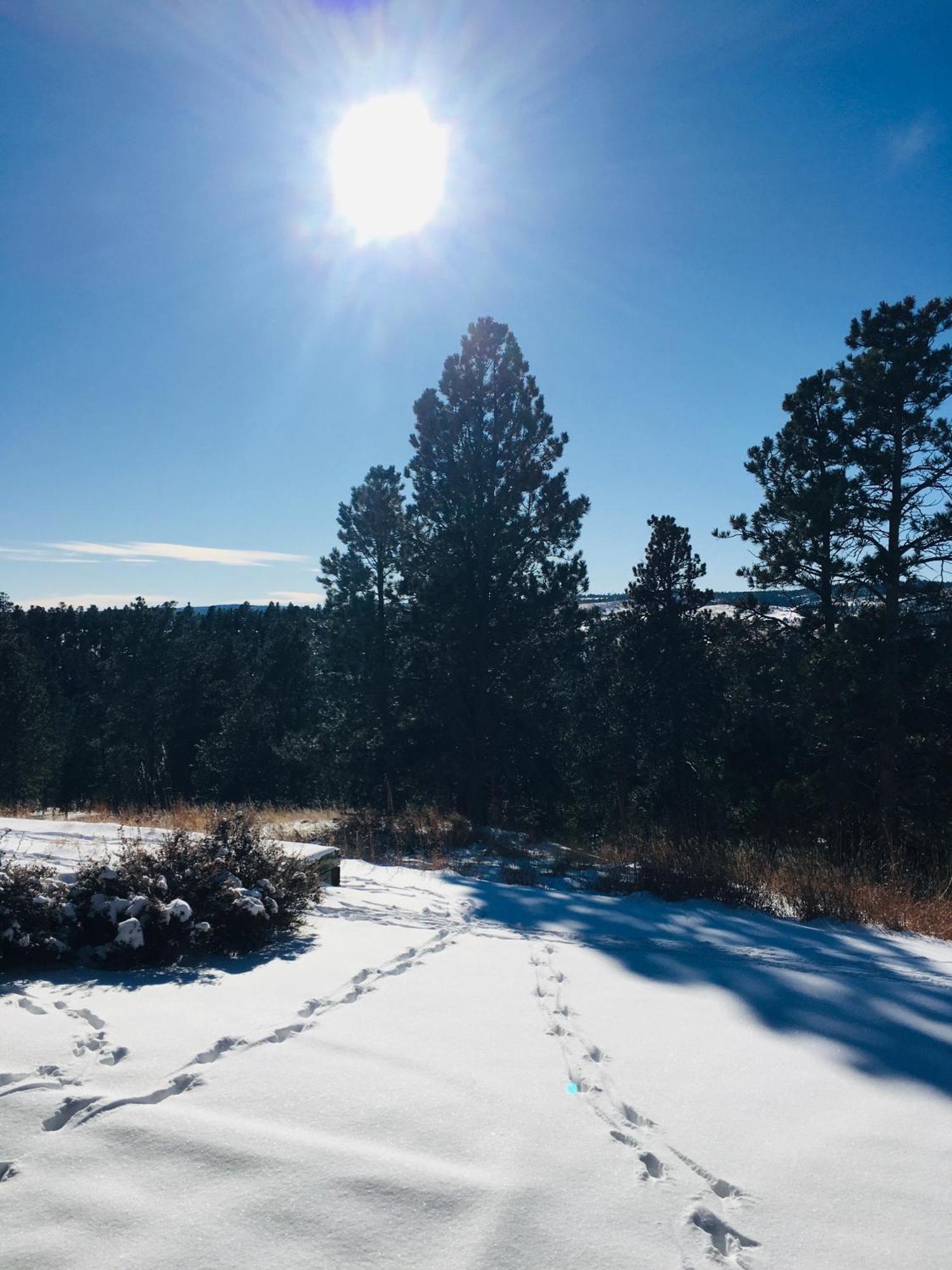 Priceless Black Hills View Rapid City Exterior foto